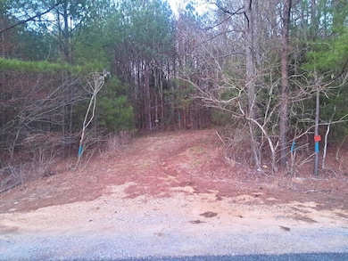 00 US Hwy 278, Haleyville, AL 35565 - photo 3