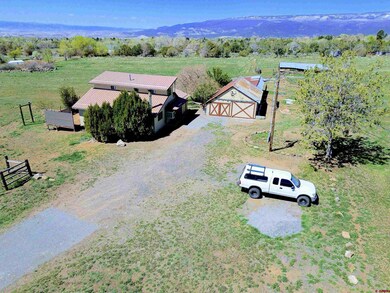 18145 Surface Creek Rd, Cedaredge, CO 81413 - photo 4