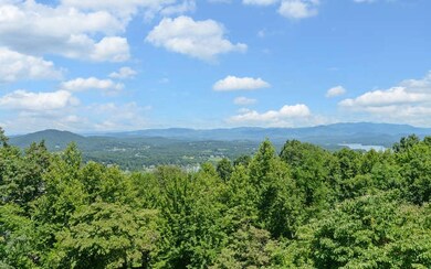 Additional View