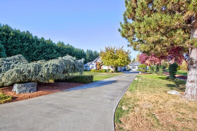 kingsgate003