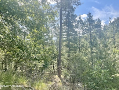 334x E Sheldon Rd, Prescott, AZ 86303 - photo 3