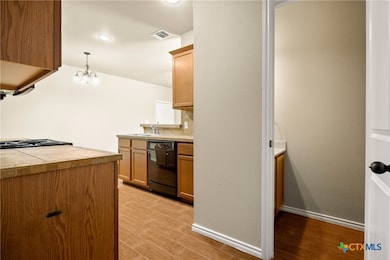 1011 Brown Rock Dr, New Braunfels, TX 78130 - photo 6