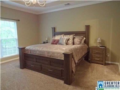 Master bedroom view; Notice the trey ceiling and d