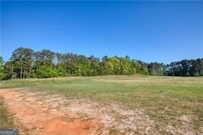 1010 Homestead Dr, Milton, GA 30004 - photo 5