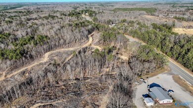 32 Acres Hwy 43, Hamilton, AL 35570 - photo 4