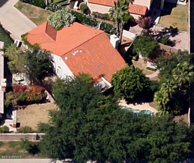 Heavily treed backyard