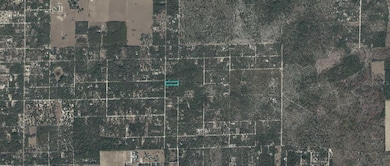 10531-000-00 NE 118th Terrace, Bronson, FL 32621 - photo 3