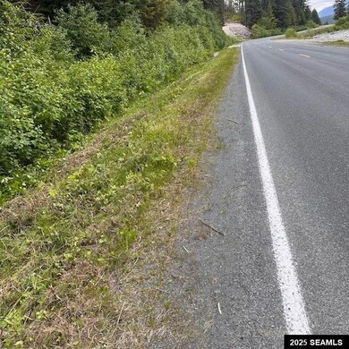 6.5 Mile Legal Address Only unit Lutak Road, Haines, AK 99827 - photo 4