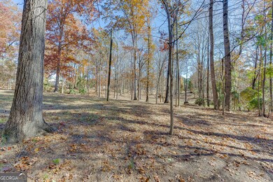 131 Canix Ln, Hoschton, GA 30548 - photo 5