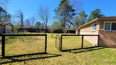 24911 Doe Trail, Magnolia, TX 77355 - photo 6