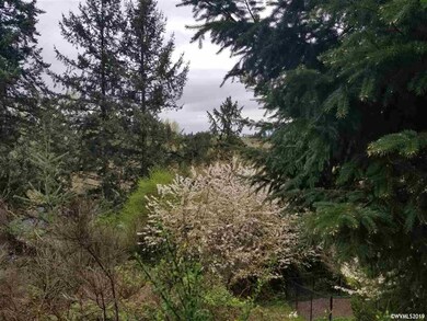 469 La Cresta Dr SE, Salem, OR 97306 - photo 4