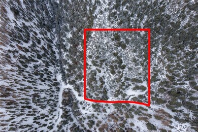 Drone Photo