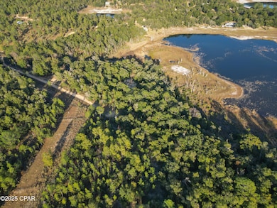 4660 Grassy Pond Rd, Chipley, FL 32428 - photo 7