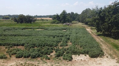 4994 Freeman Rd, Blakely, GA 39823 - photo 6