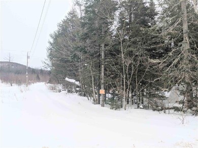 31.5 Ac Cheney Rd, Lowell, VT 05847 - photo 4
