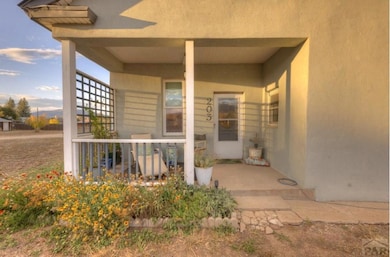 203 E Field St, La Veta, CO 81055 - photo 2