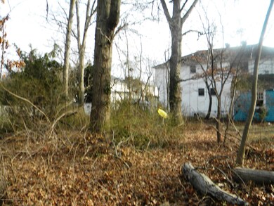 54 Latourette Overgrown Vegetation