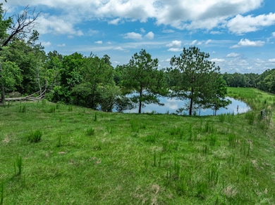 588 Wpa Rd, Sumrall, MS 39482 - photo 5