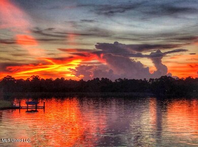 116 E Sunnybrook Rd, Carriere, MS 39426 - photo 4