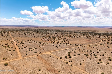 0 Red Sky Ranch Lot 384 unit 257799, St. Johns, AZ 85936 - photo 4