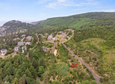 aerial