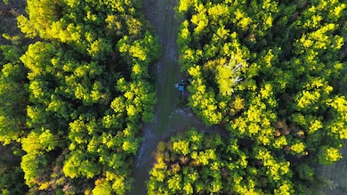 0 Porter Rd, Lake Park, GA 31636 - photo 5