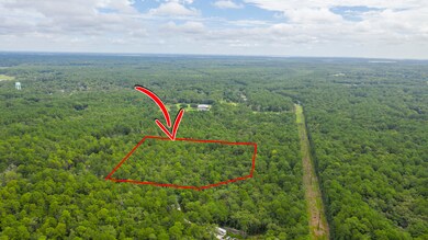 Donelly Lane lot 6