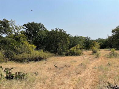 TBD County Road 424, de Leon, TX 76444 - photo 2