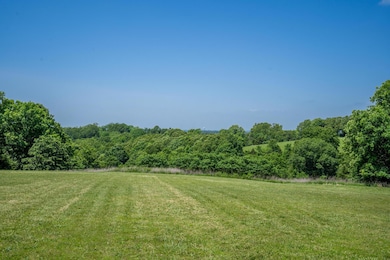 20 Hardin Hills Dr, Galena, MO 65656 - photo 6