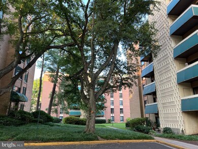 6143 Leesburg Pike unit 202, Falls Church, VA 22041 - photo 4