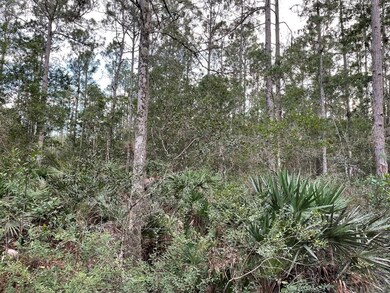 4646 Gum Rd, New Smyrna Beach, FL 32168 - photo 2