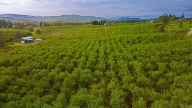 11706 SW Spring Hill Rd, Gaston, OR 97119 - photo 3