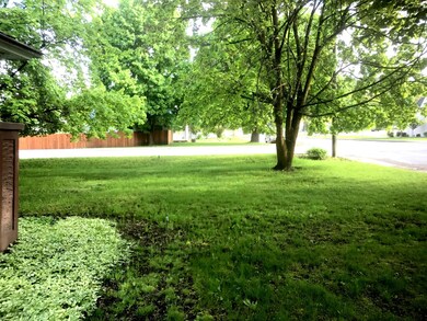 Beautiful Lawn