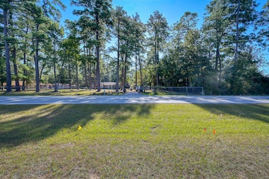 2104 Spring Creek Dr, Spring, TX 77373 - photo 7