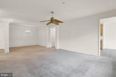 1406 Joppa Forest Dr unit P, Joppa, MD 21085 - photo 4