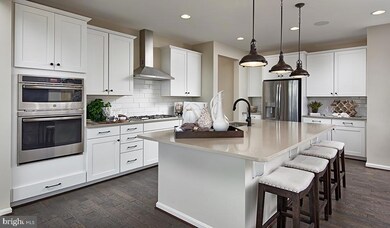 3 Brooks Nolen Way, Owings Mills, MD 21117 - photo 6