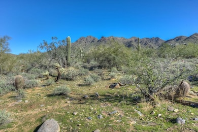 McDowell Mountains