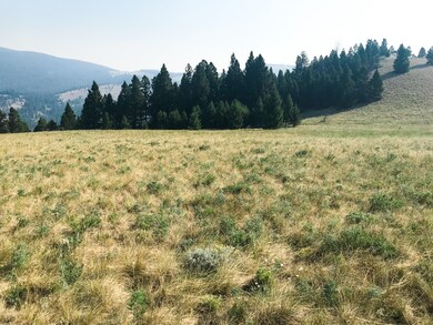 Overview