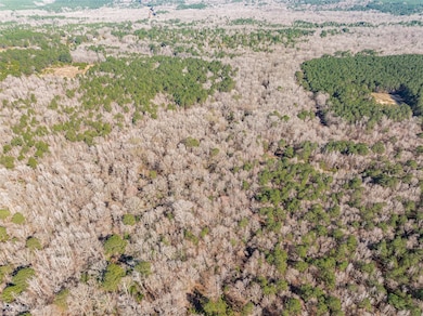 889 Fuller Cemetery E-2 Rd, Minden, LA 71055 - photo 2