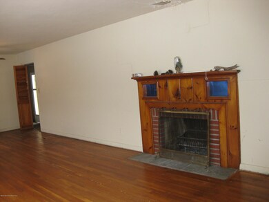 locust fireplace 001
