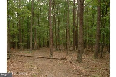 15 Pack Horse Rd, Cross Junction, VA 22625 - photo 4