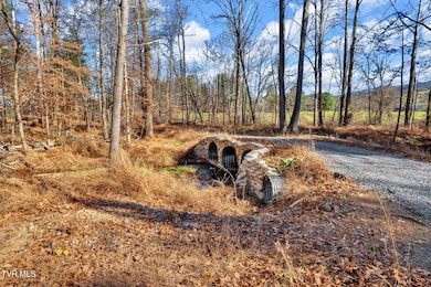 Tbd McInturff Springs Rd, Erwin, TN 37650 - photo 5