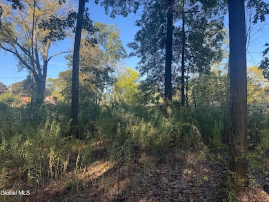 2482 Troy Schenectady Rd, Niskayuna, NY 12309 - photo 2