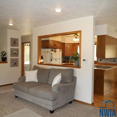 1006 S Marshall St, Rock Rapids, IA 51246 - photo 4