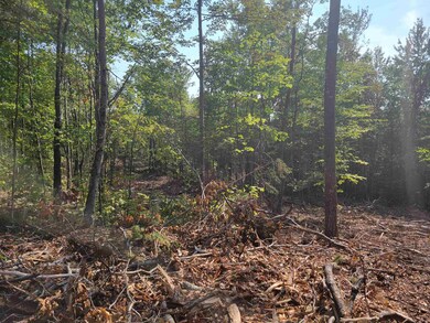 7-428 Wyman Rd, Grafton, NH 03240 - photo 5