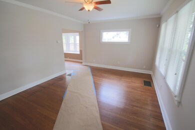 Living room- new fan light