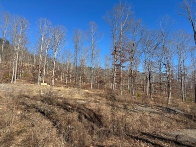 Horse Mountain 8 & 9