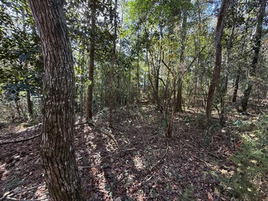 10075 Youngstowne Dr, Semmes, AL 36575 - photo 7