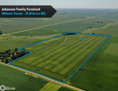 0 380th St, Gowrie, IA 50543 - photo 5