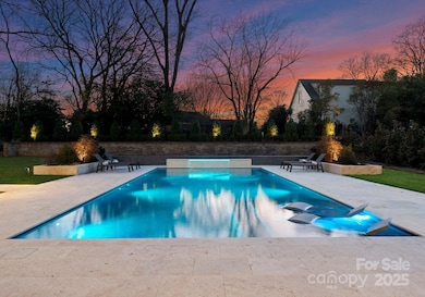 Twilight of Beautiful Custom Pool